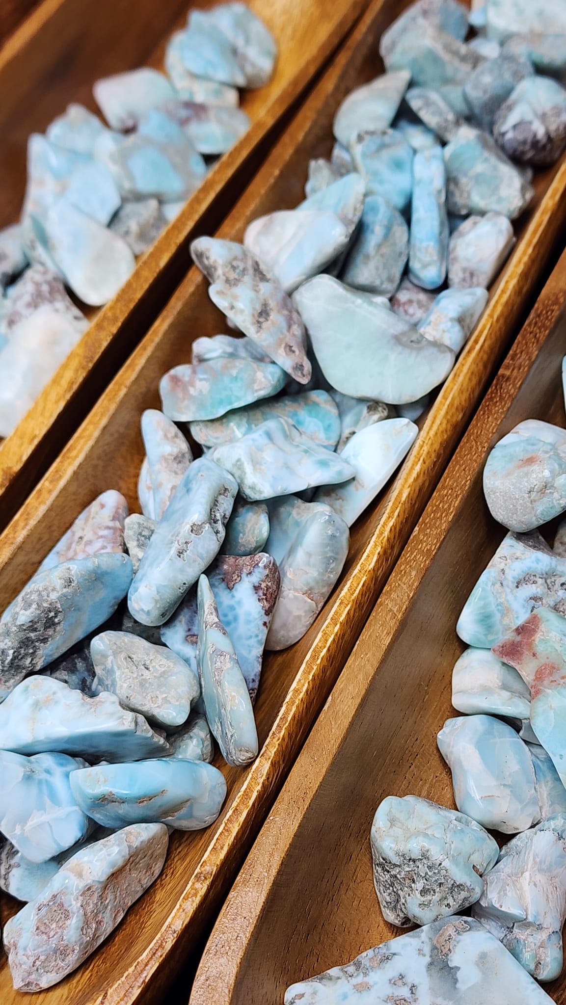 Larimar Rough Tumbles 🌊🐬