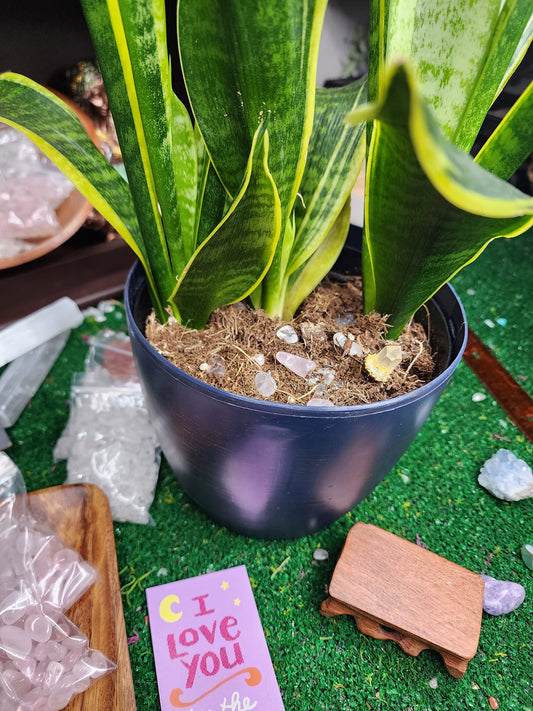 Rose Quartz Love for your plants!! 🌱🌿